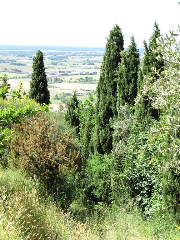 Villa Agriturismo La Grotta San Giuliano Terme Exterior foto